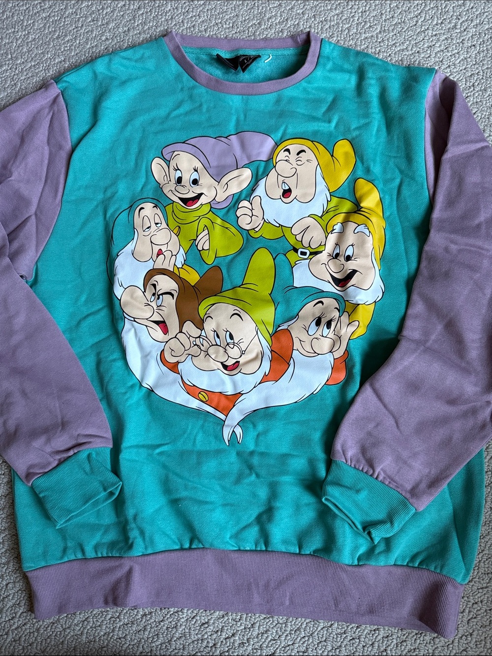 Cakeworthy Snow White seven dwarfs crewneck